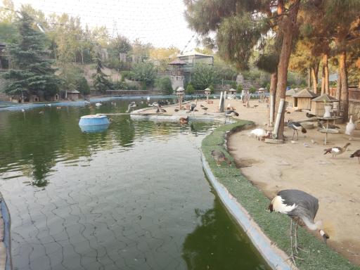 عکس باغ پرندگان تهران