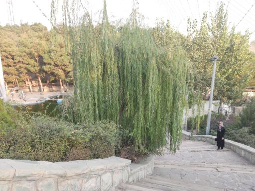 عکس باغ پرندگان تهران