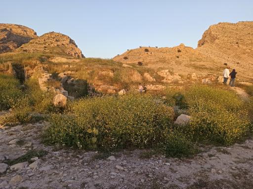 عکس کاخ والرین