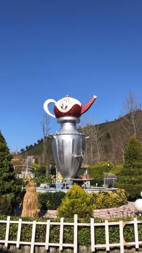 عکس روشن بهار