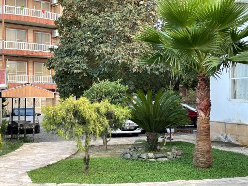 عکس مجتمع توسکا