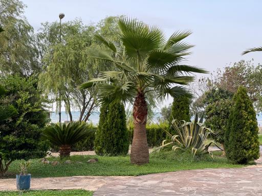 عکس مجتمع توسکا