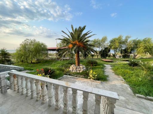 عکس مجتمع توسکا