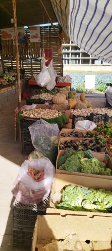 عکس سبزی فروشی حیدری 