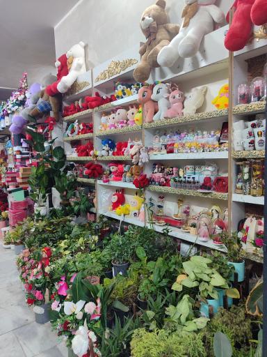 عکس گلسرای سودا