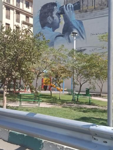 عکس پارک هامون