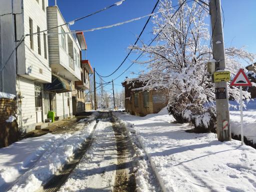 عکس سوپر مارکت ولی‌عصر