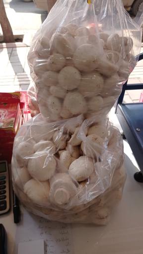 عکس فروشگاه مرغ و تخم مرغ کنعان