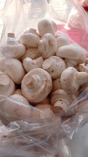 عکس فروشگاه مرغ و تخم مرغ کنعان