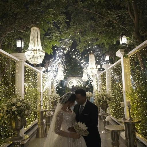 عکس باغ تالار تک درخت