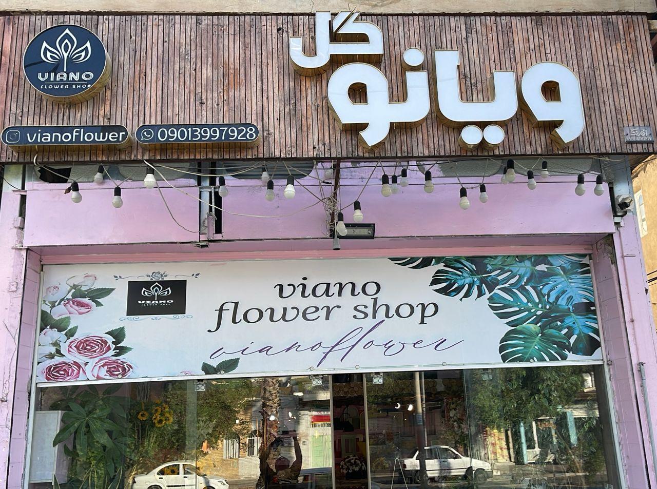 عکس گل ویانو