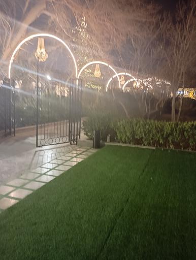 عکس باغ تالار تک درخت