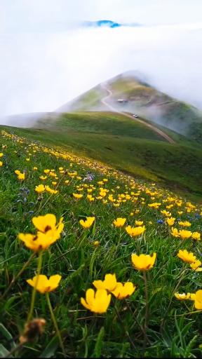 عکس رودبار