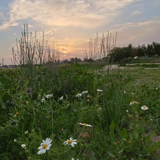 عکس تفرجگاه عمومی باغ پایینی