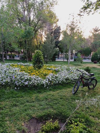 عکس بوستان ملت