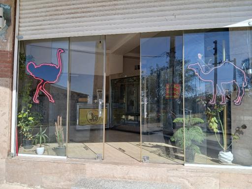 عکس پخش گوشت شترمرغ چکاد