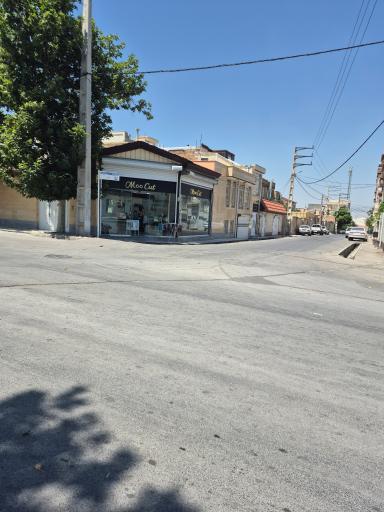 عکس پیرایش مو کات
