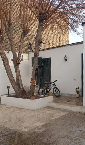 عکس کلینیک دامپزشکی رویش