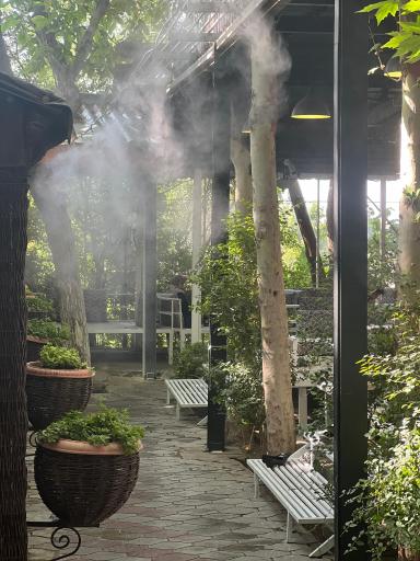 عکس رستوران صبا شاندیز