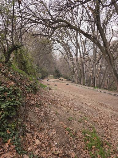 عکس موزه استاد حسین بهزاد