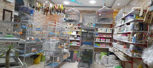 عکس پرنده فروشی درنا