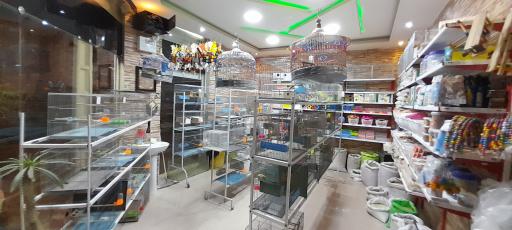 عکس پرنده فروشی درنا