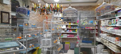 عکس پرنده فروشی درنا