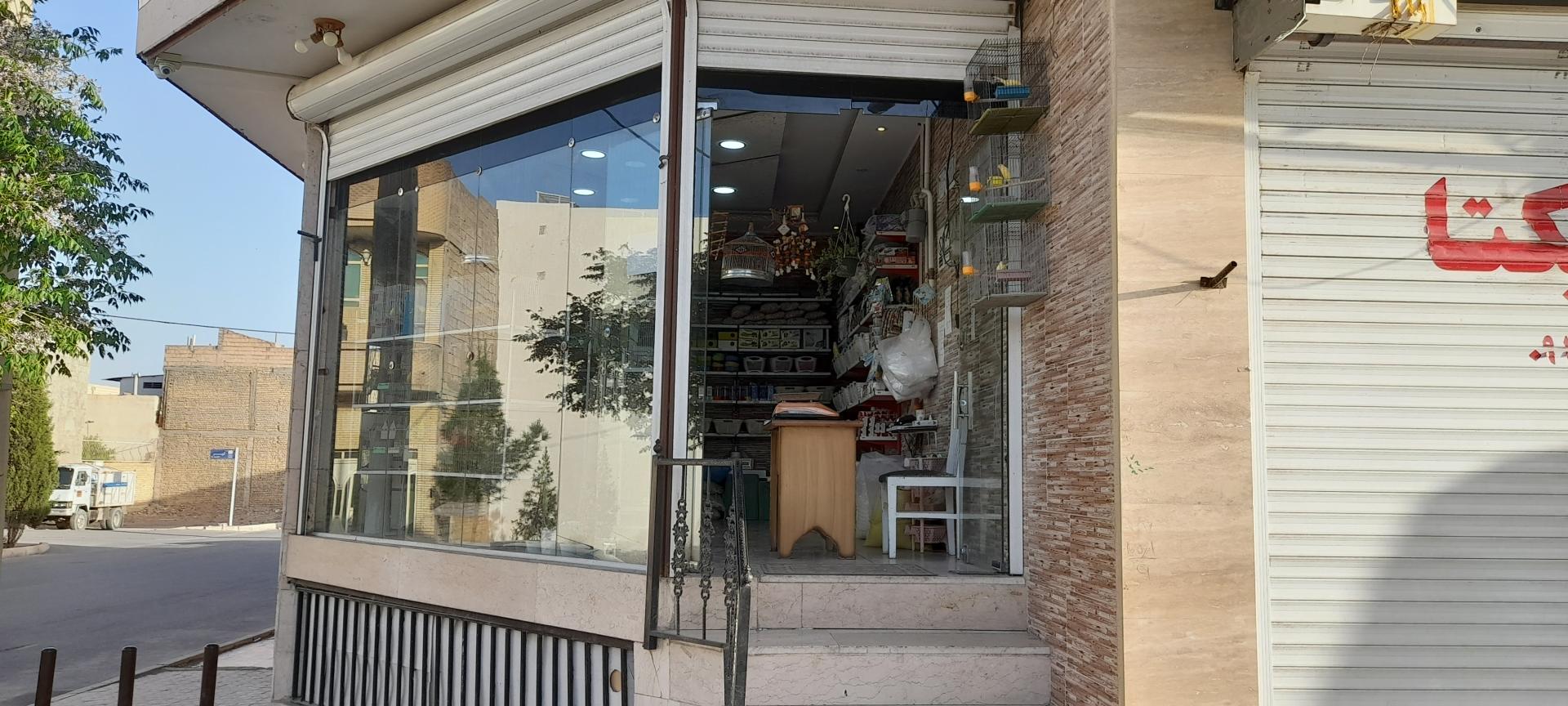 عکس پرنده فروشی درنا