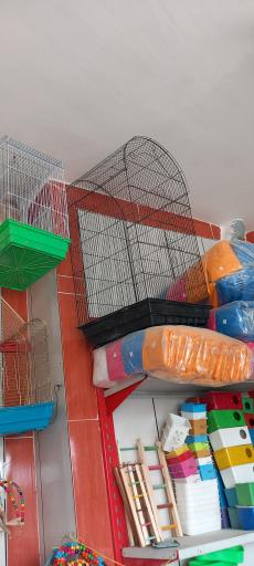 عکس پرنده سرای درنا