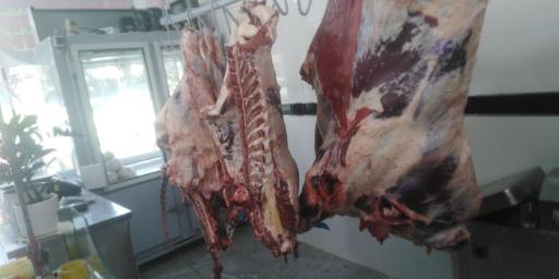 عکس توزیع گوشت نوین