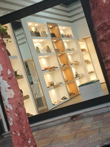 عکس چرم کاکتوس 