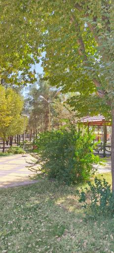 عکس پارک انقلاب