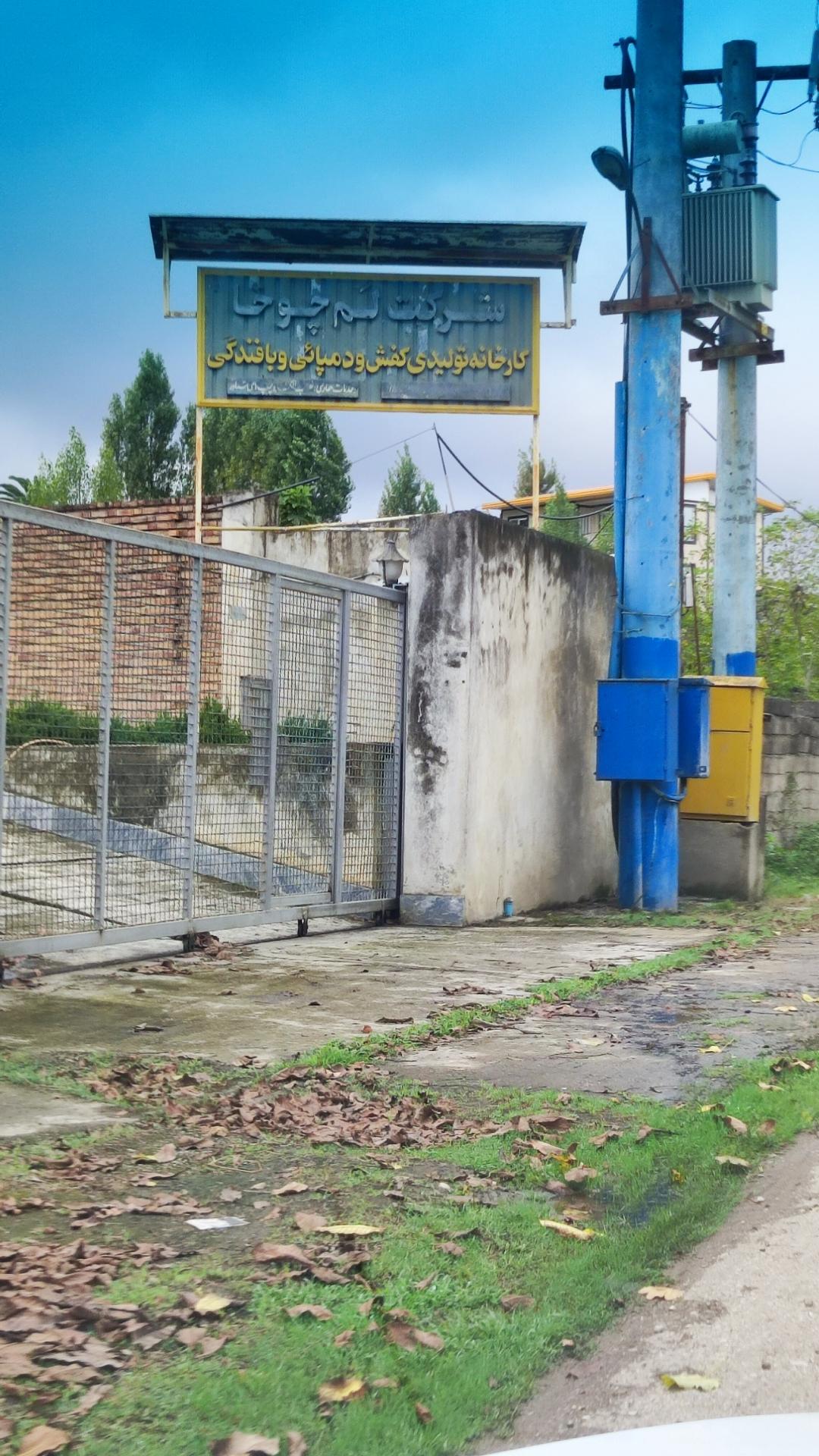 عکس شرکت لم چوخا