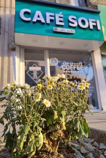 عکس کافه صوفی