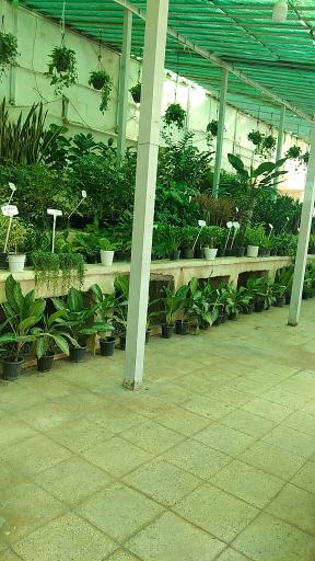 عکس دهکده گل و گیاه گل اینجا