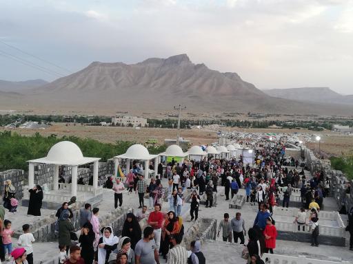 عکس توتستان بزرگ علویجه