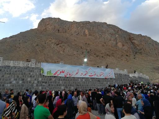 عکس توتستان بزرگ علویجه