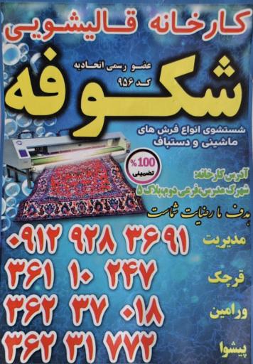 عکس قالیشویی و مبل شویی شکوفه