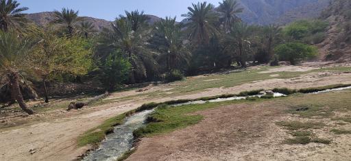 عکس منطقه آبگرم گنو