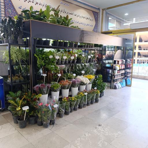 عکس دهکده گل و گیاه گل اینجا