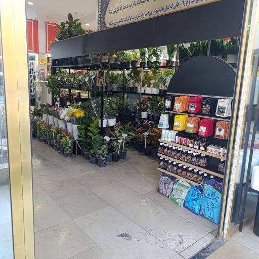 عکس دهکده گل و گیاه گل اینجا