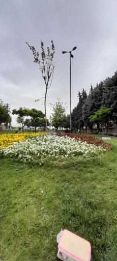 عکس بوستان گلها