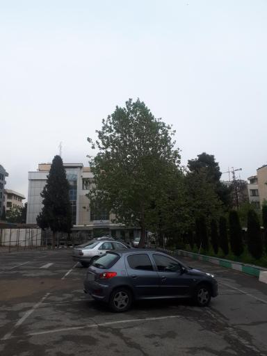 عکس دانشکده آموزش پزشکی و فناوری های یادگیری (پردیس بین الملل)