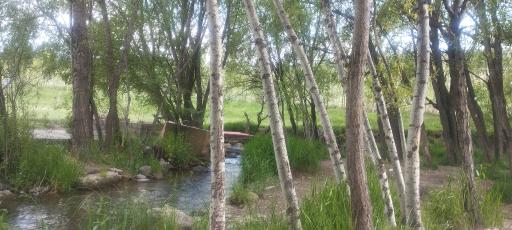 عکس چشمه بولاغلار نیر