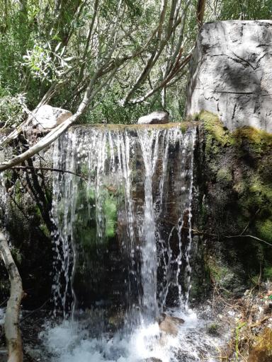 عکس آبشار راین