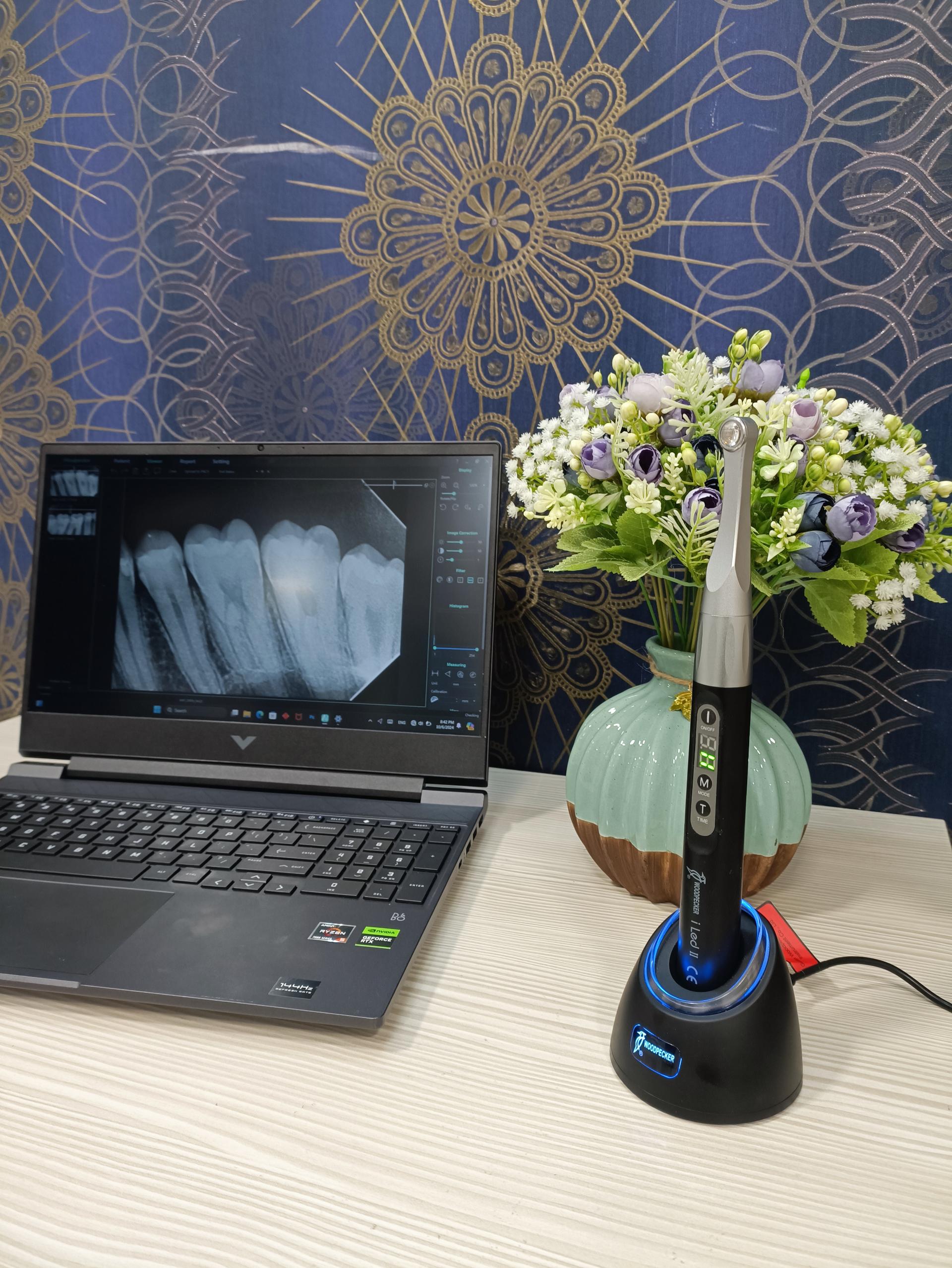 عکس دکتر نرگس شهسوار