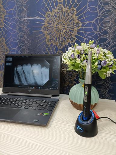 عکس دکتر نرگس شهسوار