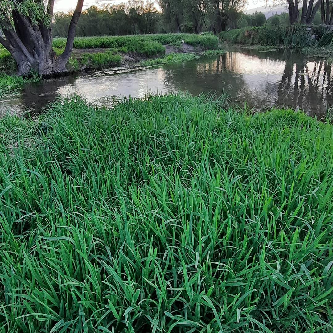 عکس چشمه بولاغلار نیر