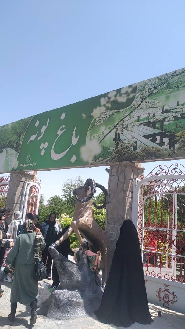 عکس باغ پونه