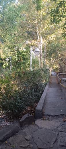 عکس باغ پونه